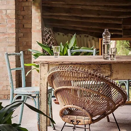 Casa Carolina Struttura Privata Affitta Camera בית הארחה